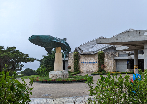 水族館１.png