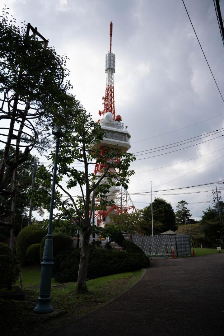 DSC02529.jpg