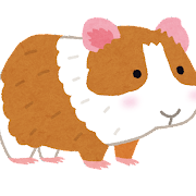 PUIPUIモルカー5.jpg