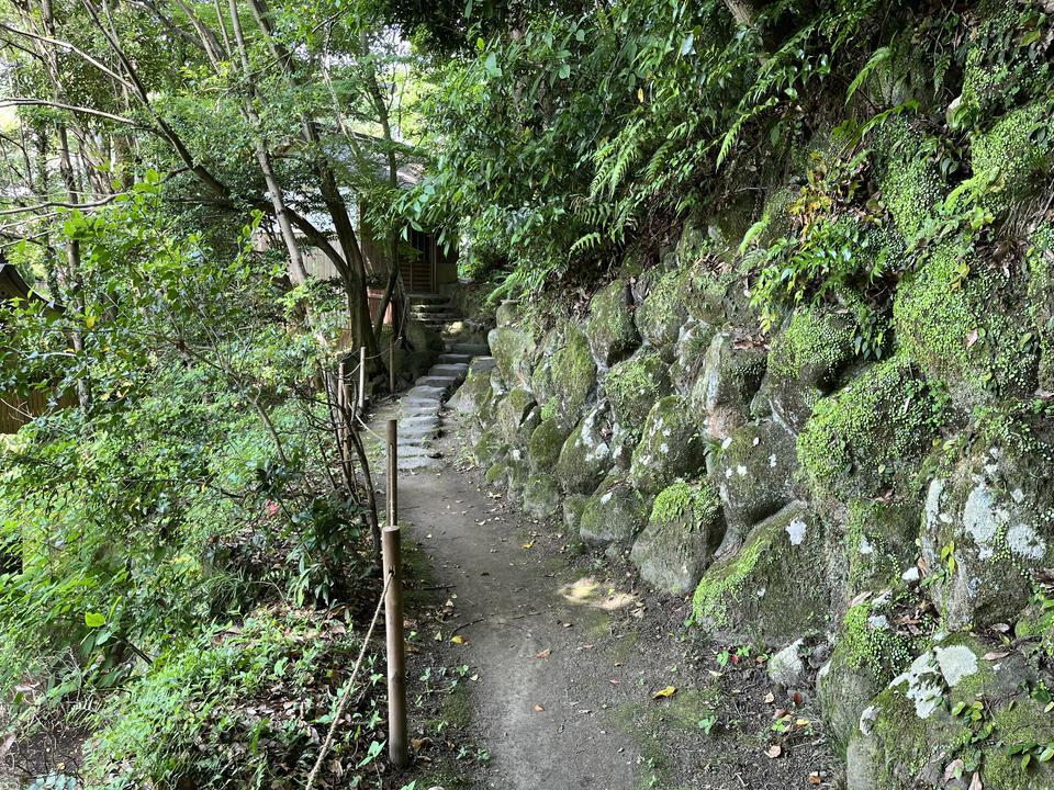 IMG_0706.jpg