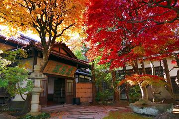 南昌荘 玄関横（紅葉）.jpg