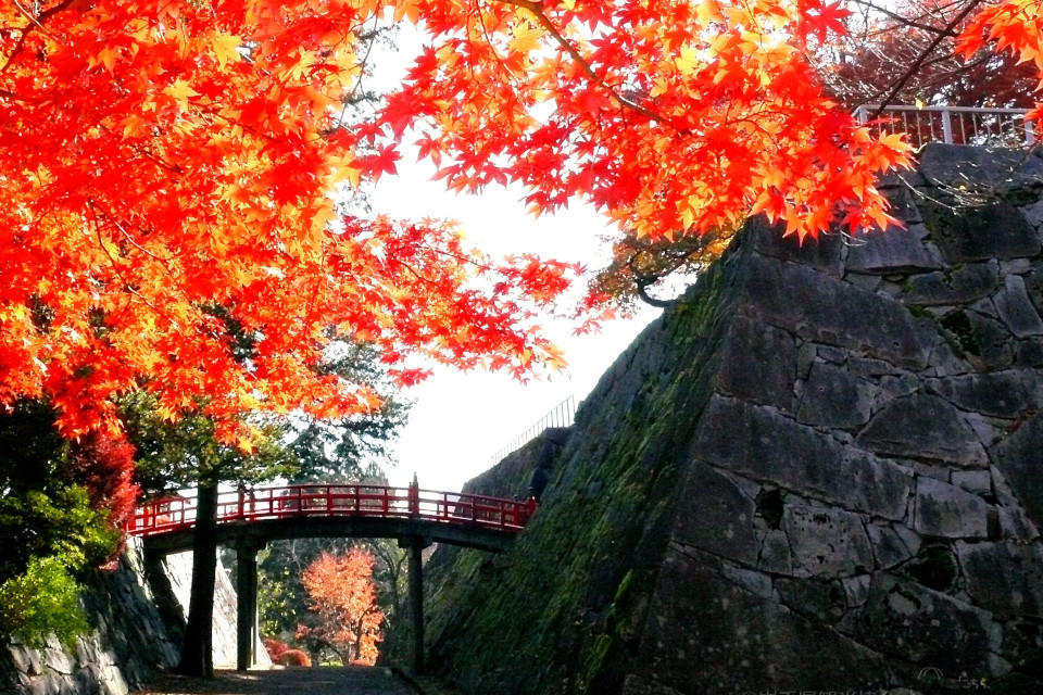 NYTimes the new york times iwate morioka