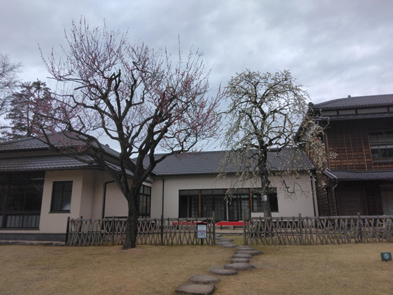 肥後細川庭園2.png