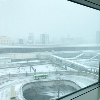 ファイル_000 (1).jpeg