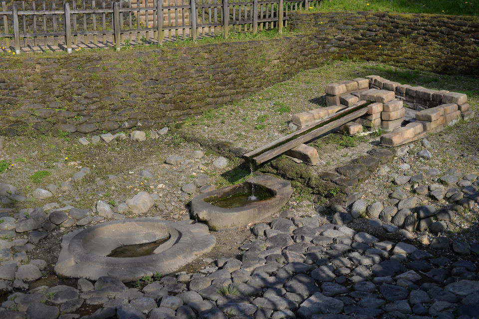 DSC_5530.JPG