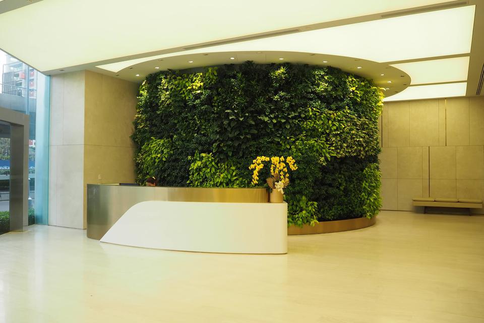 IMG-9147-Original.jpg