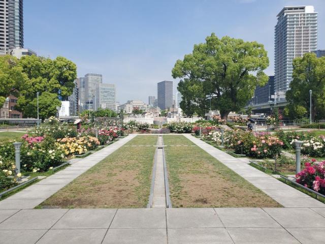 全体風景.jpg