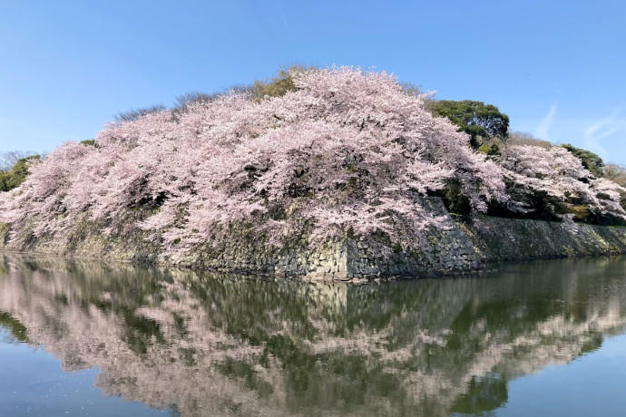 写真コンテスト