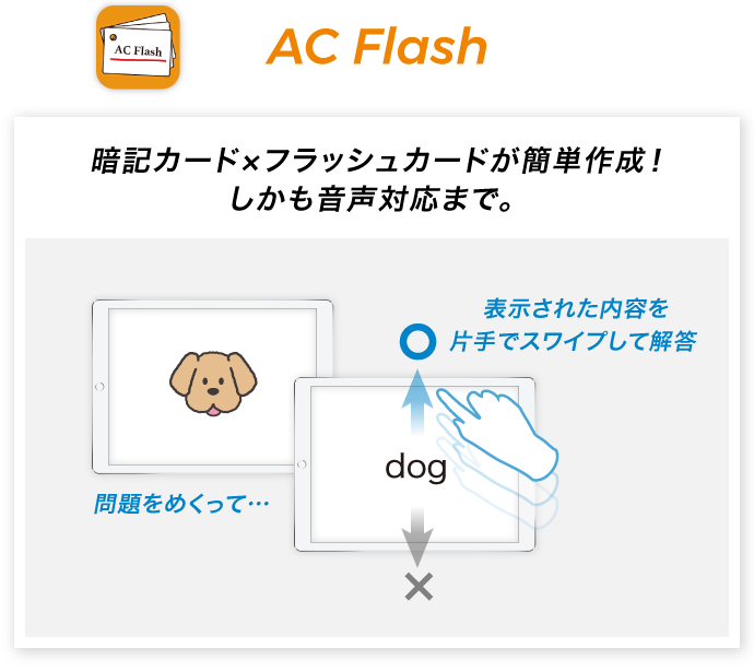 図：AC Flash