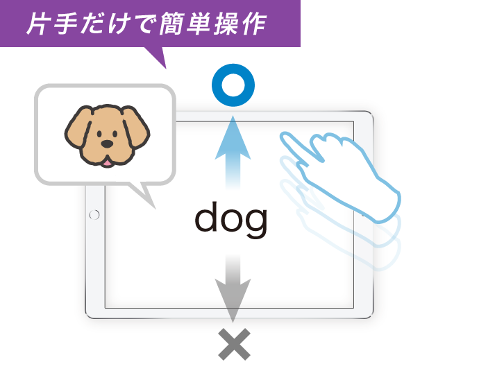 図：問題を答えるのは片手でOK。ページ送りはもちろん正解、不正解も指をスワイプさせるだけの簡単操作です。