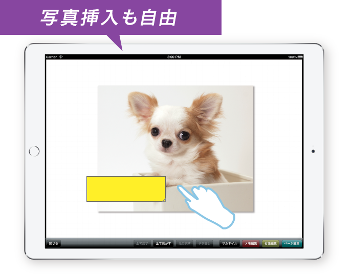 図:資料に写真を挿入することができ、その場で撮影した写真に付箋を貼ることもできます。