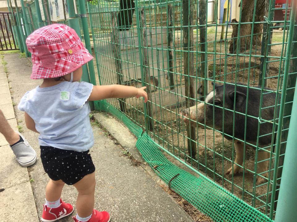 こどもと仕事