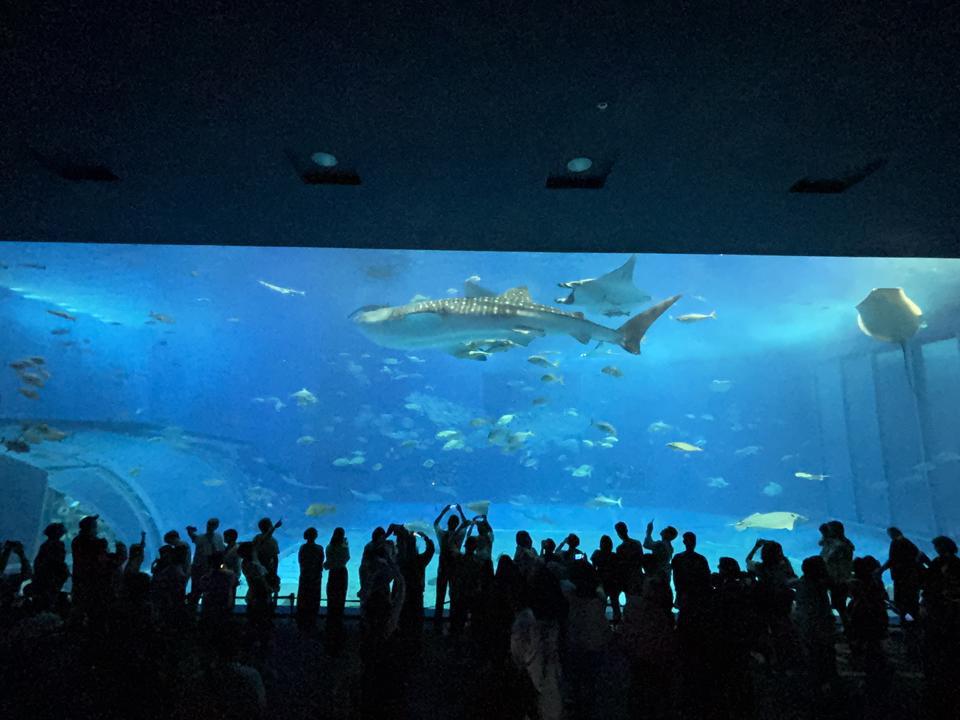 Image_20260430_130041.jpeg